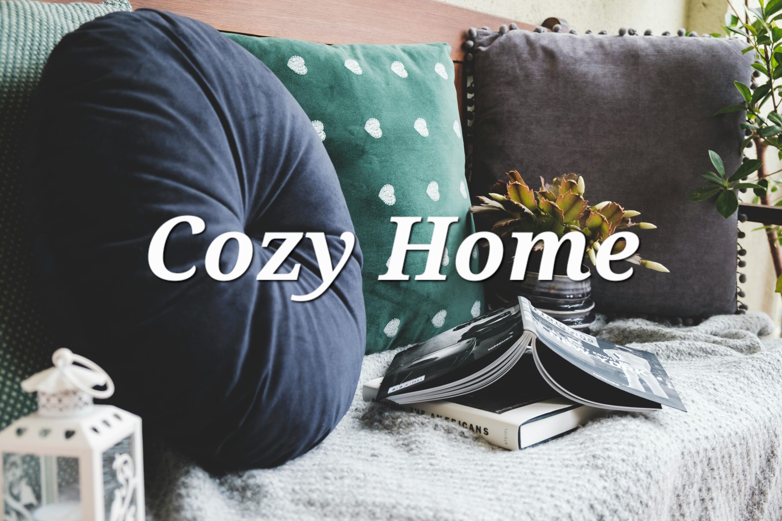 The cozy home guide: Comfort on a Budget